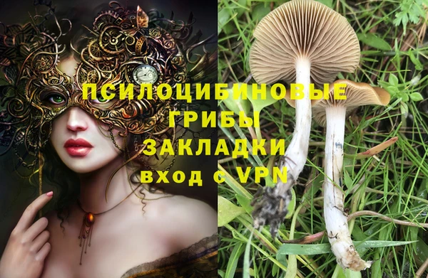 прущие крисы Инсар
