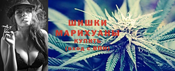 амф Касимов
