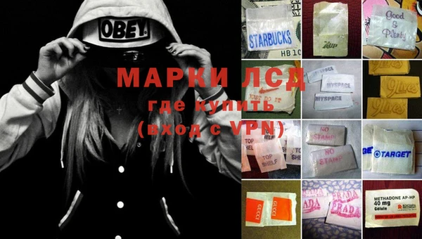 эйфоретик Карпинск
