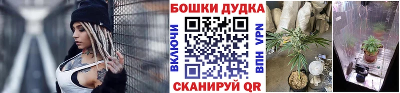 как найти наркотики  Киренск  площадка клад  Шишки марихуана сатива 
